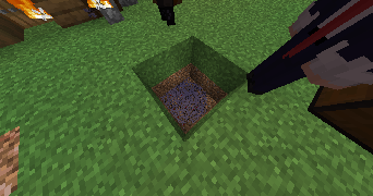 SanX mit seiner Ameisenkolonie in Regental